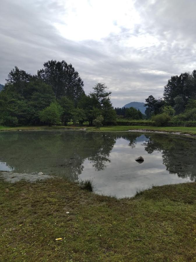Tra La Stazione E Il Lago Verbania Exterior foto