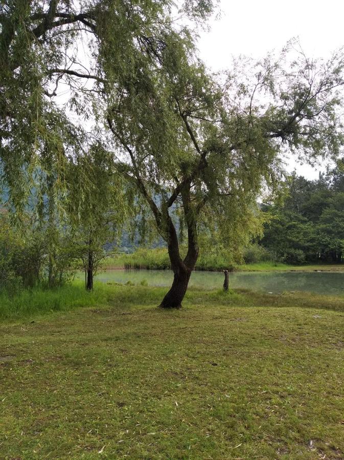 Tra La Stazione E Il Lago Verbania Exterior foto